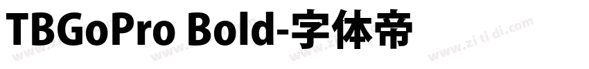 TBGoPro Bold字体转换
